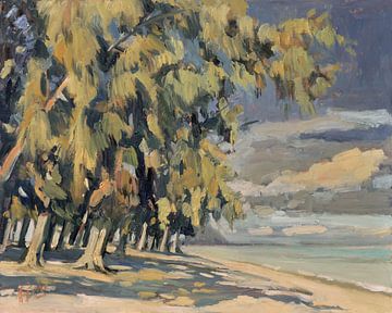 Zingende Casuarina bomen aan het strand van Nop Briex