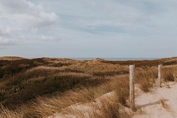 Zone dunaire de Castricum aan Zee en Hollande du Nord, Pays-Bas sur Manon Visser