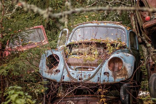 Roestige erfenissen in het bos - autokerkhof in Zweden