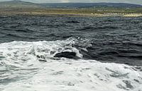 Boottocht op de Atlantische Oceaan naar de Cliffs of Moher van Babetts Bildergalerie thumbnail