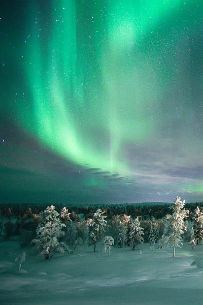 Aurore boréale sous la neige en Finlande par rik janse