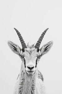 Steinbock