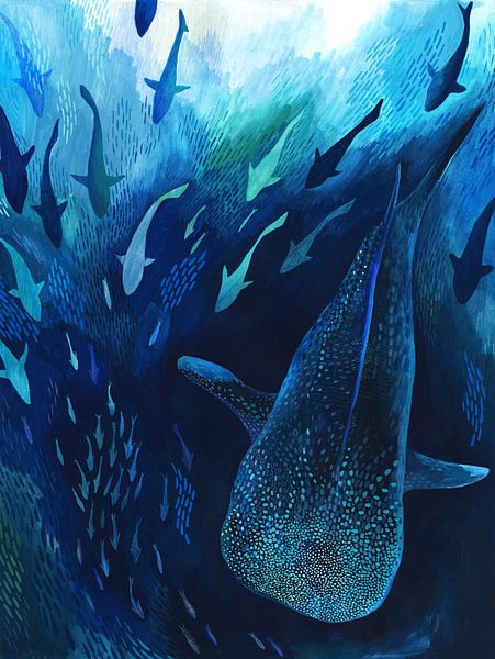 Whale shark by Jet Parent