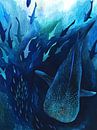 Whale shark by Jet Parent thumbnail