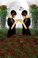 The Rose Garden