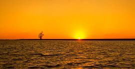 Markermeer von Xander Haenen