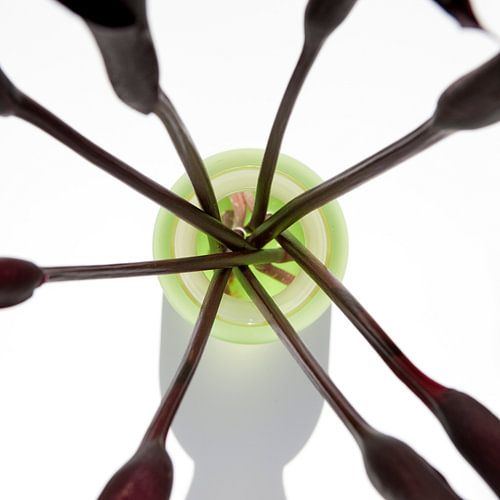 Vase von oben (#12, Vase von Jan)