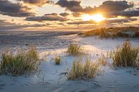 Strand op Terschelling
