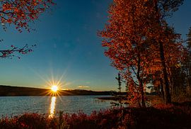 Golden autumn evening at Myrkulla Lodge