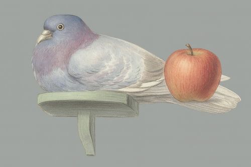 Duif & Appel – Realistische Kunstprint op Plankje