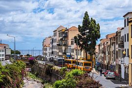 Blick auf die Stadt Funchal auf der Insel Madeira