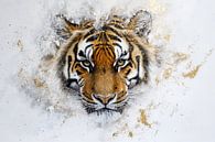 Portrait tiger with gold by Deco item thumbnail