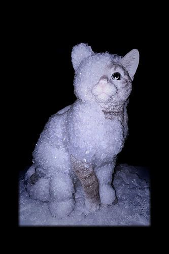 HYPOTHERMIC RIGID AND SILENT