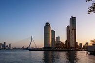 Panoramablick auf die Erasmusbrücke und den Kopf des Südens in Rotterdam, Niederlande. von Tjeerd Kruse Miniaturansicht