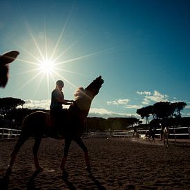 Paard en ruiter bij zonsondergang von Tycho Müller