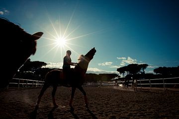 Paard en ruiter bij zonsondergang