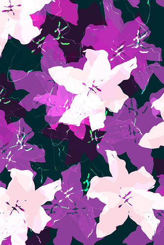 Midnight Lilies