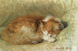 Henriëtte Ronner-Knip - Eine schlafende Katze (1898)
