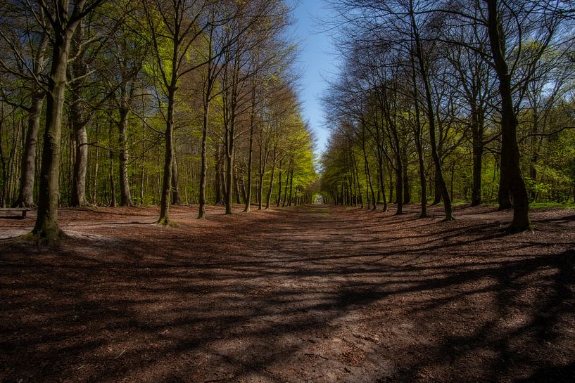 Op weg naar Landgoed Nijenburg van Arno van der Poel