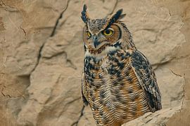 Majestic owl in abstract sepia style by Art & Soul Creations