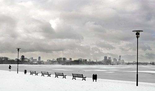 kralingse bos Rotterdam