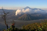 Uitzicht op de Bromo vulkaan van Antwan Janssen thumbnail