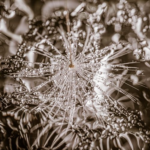 Een vierkantje chique abstractie: Van pluisje naar abstract