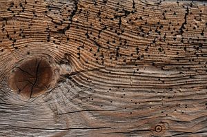 Old Wood Bryggen IV van Cor Ritmeester