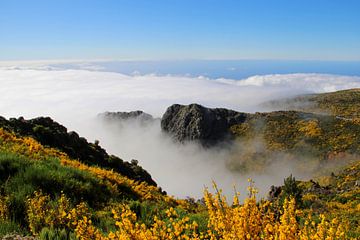 Boven de Wolkenzee van Madeira