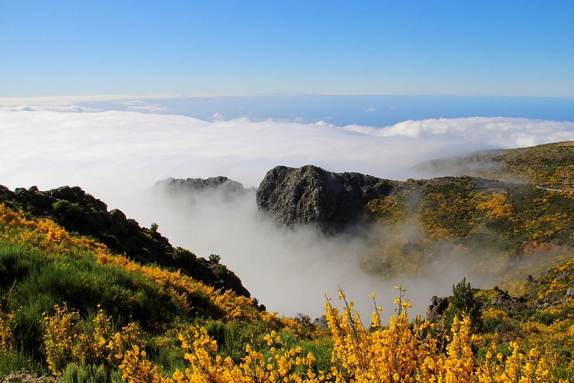 Über Madeiras Wolkenmeer von Foto Moments by M. J. Leenders