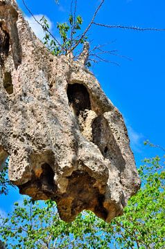 Overhanging rock at Hato Caves Curaçao by Karel Frielink