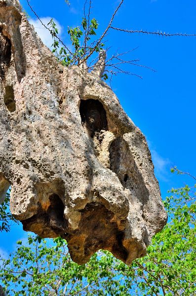 Überhängender Fels in den Hato Caves Curaçao von Karel Frielink