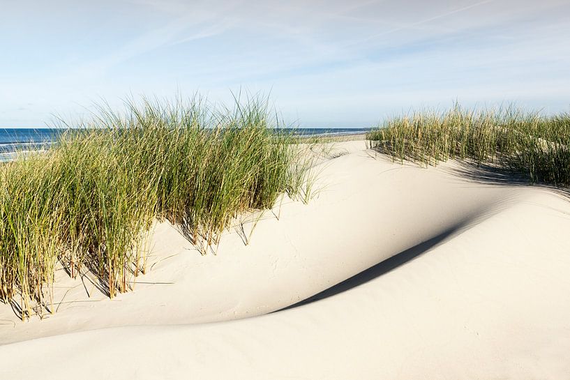 Prachtvolle Dünen auf Borkum von Reiner Würz / RWFotoArt