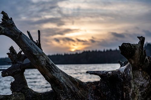 Silence entre l'orage et le coucher du soleil.