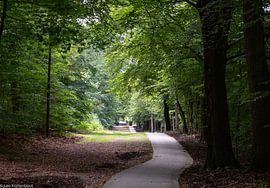 Veluwe at Vierhouten