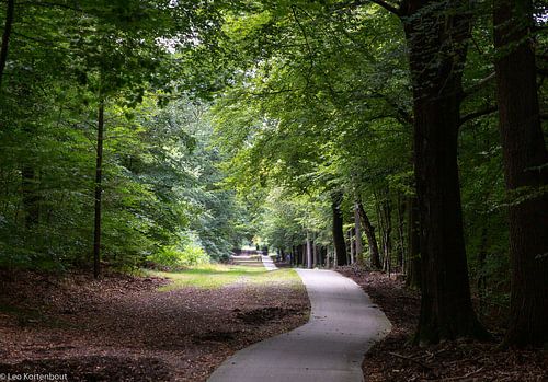 Veluwe à Vierhouten
