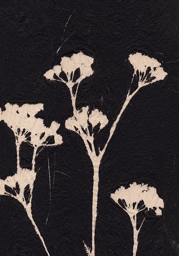 Witte zomerbloemen op zwart. Japandi stijl.