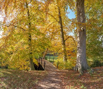 Holzweg mit Brücke in den Herbstfarben, Landgut Jagtlust, s-Graveland, Noord-Holland,, die Niederlan von Rene van der Meer