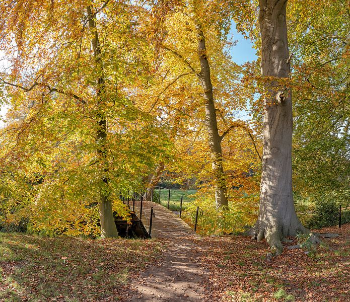 Boslaan met bruggetje in herfstkleuren, buitenplaats Jagtlust, s-Graveland, , Noord-Holland, Nederla van Rene van der Meer