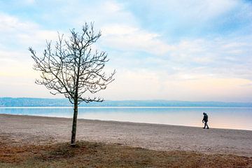 Eenzame boom en eenzame man op het strand van Lars-Olof Nilsson