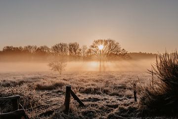 Goldene Stunde Winterwunderland von Marloes Mol