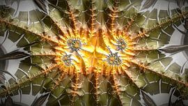 Freie Fraktale: #000041 von Don Philippo