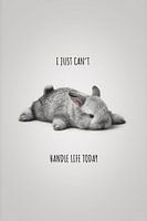 I Can't Handle Life Today