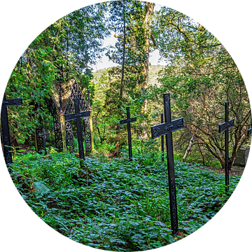 Zwarte kruizen in het bos