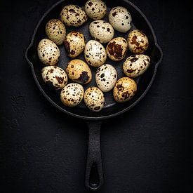 Quail's egg by Sylvia Fransen