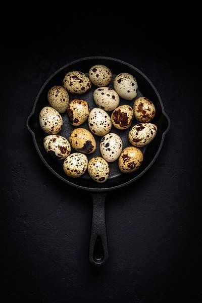 Quail's egg by Sylvia Fransen