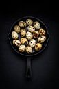 Quail's egg by Sylvia Fransen thumbnail
