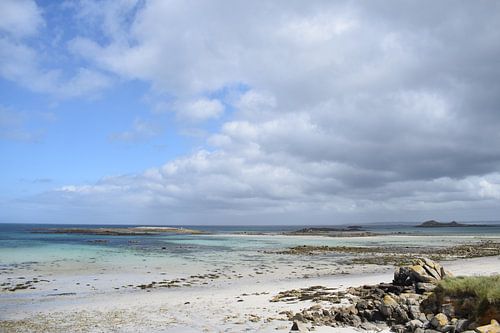 La marée basse sur la côte