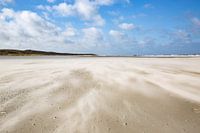 Windforce 8 on Vlieland