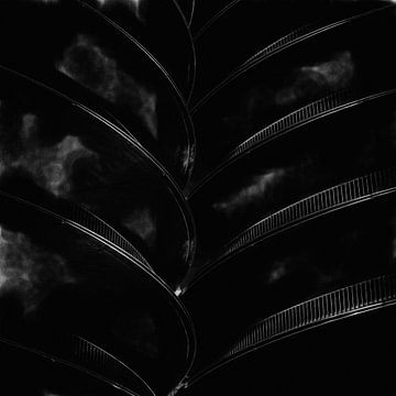 Abstract in zwart wit van Maurice Dawson